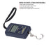 Portable Electronic Scale Mini 40kg-10g Weighting Steelyard with Hanging Hook WH?A01L...