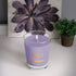 Root Candles Honeycomb Veriglass Scented Beeswax Blend Candle, English Lavender Large...