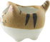 Cat Succulent Planter Mini Ceramic Cute Kitten Shaped Cartoon Decoration Vase Flower Pots (Cute)...