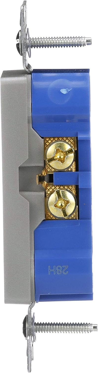 EATON TR1107SG-SP-L Designer Duplex Receptacle, Silver Granite...