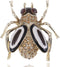 Alilang Golden Tone Light Topaz Colored Rhinestones Bug Insect Wings Brooch Pin...