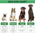 Christmas Dog Gifts, Dog Toys for Small Dogs Dog Toothbrush for Teething Cleaning, Rubber Dog Squeaky Toys for Puppy...