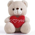 I Love You Teddy Bear for Girlfriend Stuffed Animals Cute Stuffed Teddy Bears for Girls Stuffed Bear Plush Toys Brown Teddy Bear Stuffed Animal Pl...