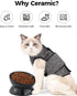Elevated Cat Food Bowl, 5 Oz Ceramic Raised and Tilted Water Bowl, Anti Vomiting and Protect Pets' Spines Dishes for Small Dog, Fat Faced Cat, Kit...