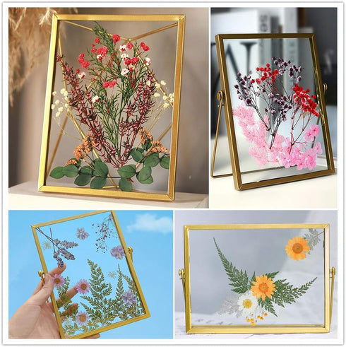 Vignee Real Dried Pressed Leaf Flowers-Multiple Colorful Pressed Flowers Daisies for Craft Resin Jewelry Making Art Craft DIY and Soap Candle Scra...