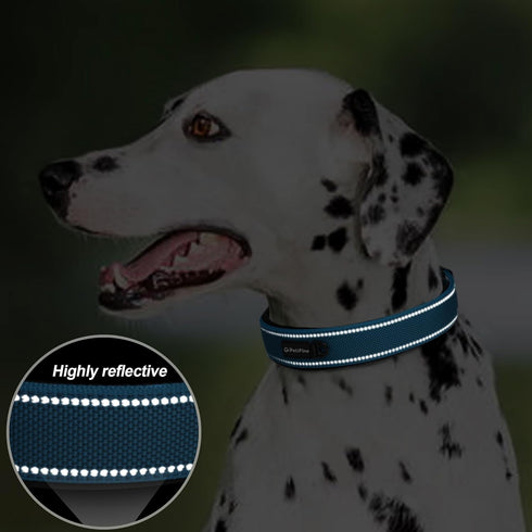 PetiFine Neoprene Padded Dog Collar, Heavy Duty Comfort Dog Collar with Durable Metal Buckle, Reflective Adjustable Belt Buckle Dog Collars for Sm...