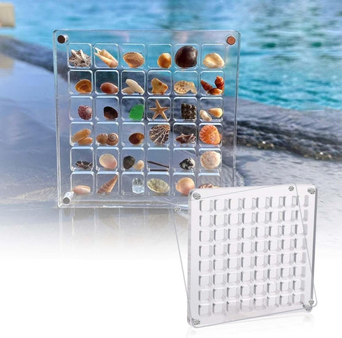 36 Grids Acrylic Magnetic SeaShell Display Box, Transparent Seashell Storage Box, Square Jewelry Display Cases Craft Storage Box for Seashell, Gem...