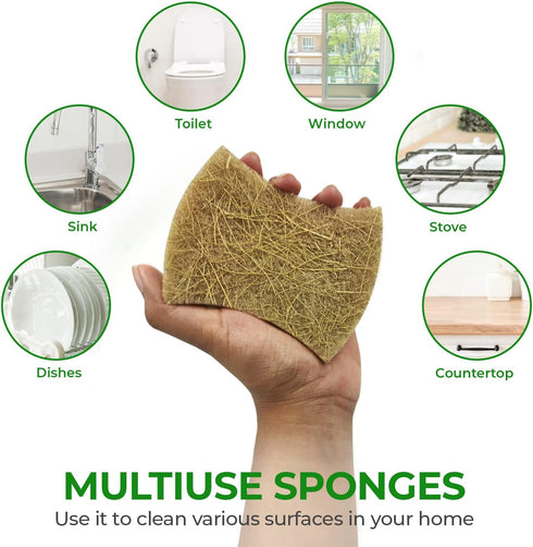 Biodegradable Natural Kitchen Sponge - Compostable Cellulose and Coconut Walnut Scrubber Sponge - Pack of 12 Eco Friendly Sponges for Dishes - Han...