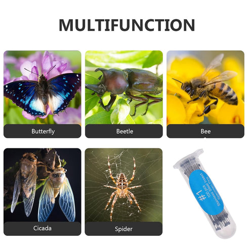 Tools Tools Stainless Steel | Sizes 00, 0| 100 of Each Size| includes Sturdy Storage Containers| for Entomology, Dissection, Collections Tool Bag ...