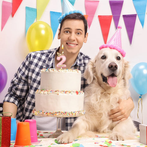 BBTO Number 2 Birthday Candle Pink Birthday Candle Girl with 10 Pieces Pink Candles Long Thin Cupcake Candles in Holders for Cake Topper Birthday ...