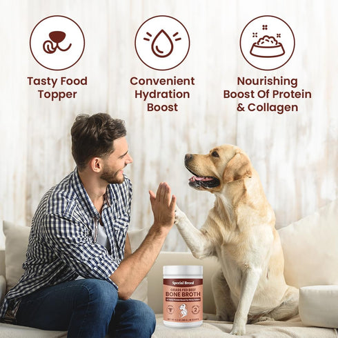 Bone Broth Powder for Dogs and Cats - Dog and Cat Food Topper, Grass Fed Beef Broth Supplement, 9.5 oz...