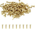 200 Pcs Tiny Brad Nails Brass String Art Nails 1.2x6mm Wood Finish Nails for DIY Pictures Boxes Decorative Household Accessories...
