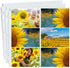 Dunwell Photo Album Refill Pages 12x12, (10 Pack, 4x6 Horizontal) Holds 120 Photos, Clear Plastic 4 x 6 Photo Sleeves for 3 Ring Binder, D-Ring Sc...