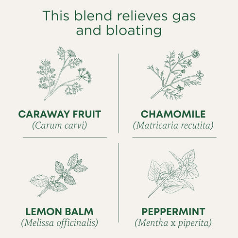 Traditional Medicinals Tea, Organic Gas Relief, Relieves Gas & Bloating, Chamomile Mint, 16 Tea Bags...