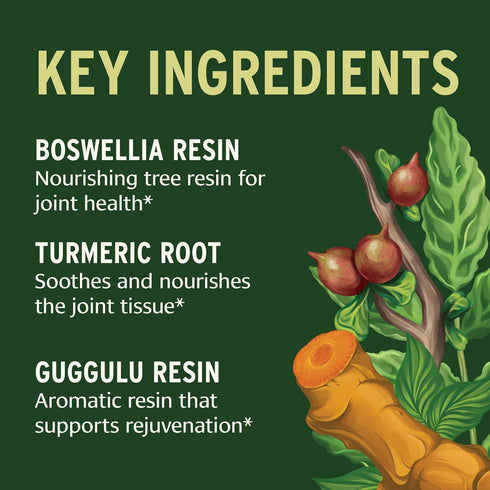 Banyan Botanicals Joint Support – Organic Joint Supplement with Turmeric, Amla & Guggulu Resin – for Healthy Joints & Comfortable Movement* – 90 T...