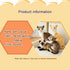 Siamese Cat Stuffed Animal, Shorthair Cat Realistic Plush Cat Stuffed Toys, Gift for Kids 12inches (A)...