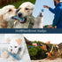 Pet Rope Toy, Dogs Aggressive Chewers Rope Toy for Small to Large Dogs, Puppy Teething Chew Pull Toy, Denim + Cotton, Tug of War Toys for Dogs (4 ...