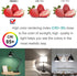 A19 LED Light Bulbs 75 Watt Equivalent Dimmable LED Bulb Bright White 6000K 10W 900 Lumens E26 Base (Daylight White, 3-Pack)...
