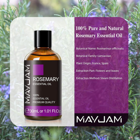 Rosemary Essential Oil 30ML/1.01FL.OZ, MAYJAM Premium Rosemary Oil Essential Oils with Glass Dropper, Great for Aromatherapy Diffuser and Candle M...