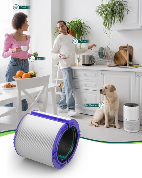 Future Way TP04 Filter Replacement Compatible with Dyson TP04 / HP04 / DP04 Air Purifier, 360 Combi Glass True High Efficiency Air Filter & Activa...