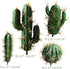 FagusHome Artificial Cactus Decor Faux Cactus Plant Fake Succulents Plants Artificial Cacti 4 Pieces Unpotted Indoor Home Décor Fake Cactus Stems...