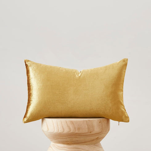 GIGIZAZA Gold Velvet Decorative Throw Pillow Covers for Sofa Bed 2 Pack Soft Cushion Cover 12x20...