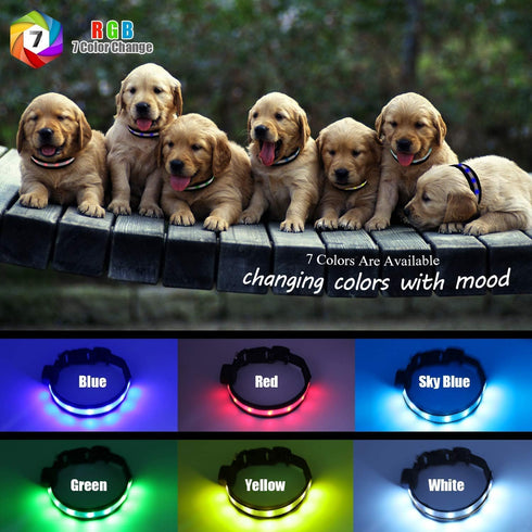 Light Up Dog Collars,Safety LED Dog Collars USB Rechargeable 7 Changing Colors Glow in The Dark Dog Walking Light,Neon Adjustable Safety Buckle Li...