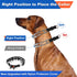 Supet Dog Training Collar for Small Medium Large Dogs with Quick Release Buckle, Adjustable No Pull Dog Collar with Nylon Cover...