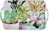 Pimpernel Succulents Large Handled Tray - 18.9" x 11.6" Melamine Serveware with Botanical Design - Dishwasher-Safe Decorative Breakfast & Coffee T...