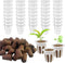 80 Pcs Hydroponic Seeds Grow Sponges Pods Kit,Indoor Hydroponics Growing System Root Plant Basket,Hydroponic Pods Cups Pot and Grow Sponges for Ga...