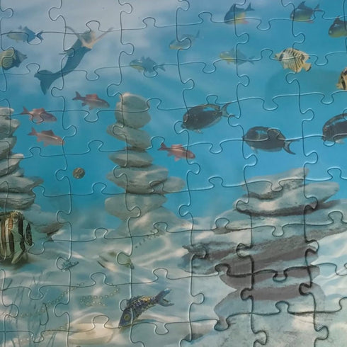 Briarpatch, I Spy Fantasy 100 Piece Search and Find Jigsaw Puzzle, Based on The I Spy books, for Ages 5+...