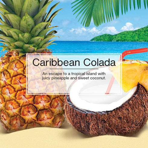 LITTLE TREES Car Air Freshener. Fiber Can Provides a Long-Lasting Scent for Auto or Home. Recycled Fiber. Caribbean Colada, 4 Air Fresheners...