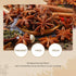 52USA Organic Star Anise, 4 Ounce (Pack of 1), NON-GMO Verified Chinese Star Anises Whole, Dried Star Anise Pods for Tea and baking...