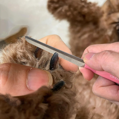 OneCut 4.7" Small Dog & Cat Nail Clipper Stainless Steel Cat Claw Trimmers for Rabbits, Guinea Pigs, Birds, Puppies, Kittens and Small Animals Pet...