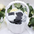 900PCS Silver Black White Artificial Flowers Silk Rose Petals Flower Girl Scatter Petals for Wedding Aisle Centerpieces Table Confetti Party Favor...