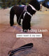 4/6FT Cable Slip Lead Dog Leash, Chew Proof Steel Wire Dog Leash with Reflective Soft Nylon Handle for Teething Puppies Small Medium Dogs Training...