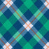 Jacob Alexander Men's Tartan Plaid Pattern Pre-Tied Adjustable Banded Bow Tie - Green Blue White...