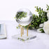 Hipiwe Gold Metal Arm Display Stand Easel with Acrylic Base Decorative Display Easel Holder for Sphere Crystal Ball Eggs Mineral Geodes Rock Seash...