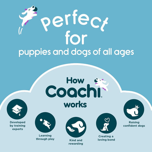 Coachi Tuggi Ball - Interactive Dog Toy for Tug of War & Play. Strong & Comfortable, Stretchy Bungee Handle, Reward Training, Interrupting Biting ...