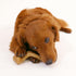 Nylabone Gourmet Style Strong Chew Wishbone Dog Chew Toy, Chicken Flavor, Small/Regular (1 Count)...