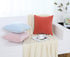 Jeneoo Set of 2 Comfy Soft Velvet Throw Pillow Covers for Sofa Couch Decorative Solid Square Cushion Cases for Bedroom Car (18 x 18 Inches, Sage G...