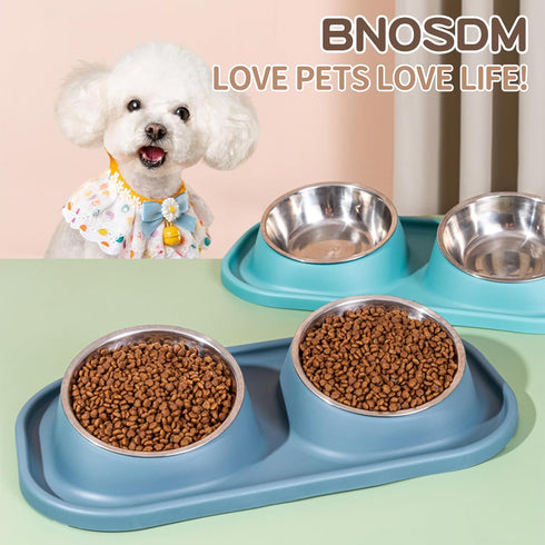 BNOSDM Double Dog Bowl Tilted Raised Stainless Steel Dog Bowls with Plastic Mat, Cat Basic Food and Water Bowl Set for Small Dog Pet Kitten Puppy...