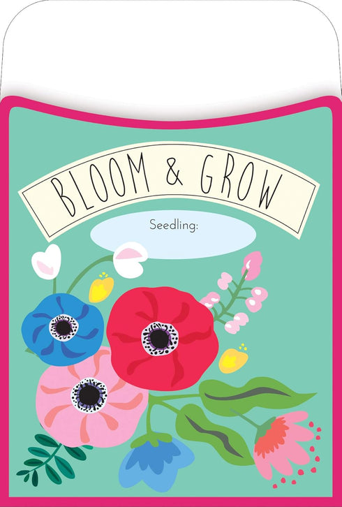 Barker Creek Peel & Stick Library Pockets, Petals & Prickles, 3 Designs, Great for Holding Library, Index, and Flash Cards, Hall Passes, Recipes, ...