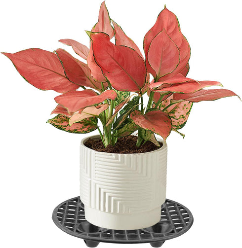 6pcs Big Potted Plant Stands 8 inch Heavy Planter Holder Plant Level Pot Elevator Plant Stand for outdoor indoor plants...