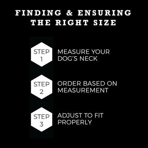 Wolfgang Premium Adjustable Dog Training Collar for Small Medium Large Dogs, Made in USA, DawnPatrol Print, Medium (1 Inch x 12-18 Inch)...