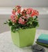 The HC Companies 8 Inch Aria Square Self Watering Planter - Plastic Plant Pot for Indoor Outdoor Plants Flowers Herbs, Glossy Green...