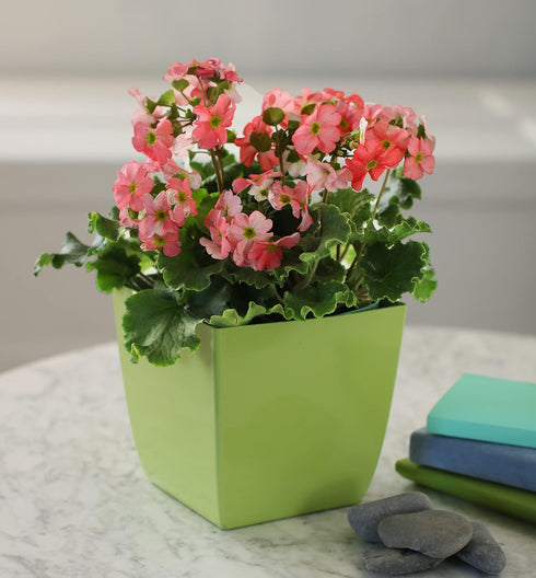 The HC Companies 8 Inch Aria Round Self Watering Planter - Plastic Plant Pot for Indoor Outdoor Plants Flowers Herbs, Glossy Green...
