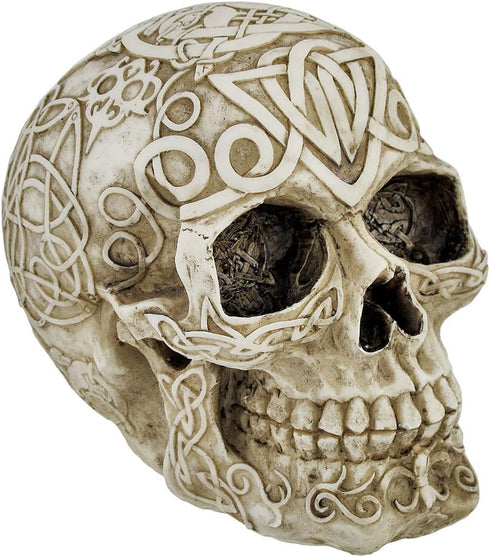 Private Label Celtic Owl Knotwork Human Skull Statue Pagan...