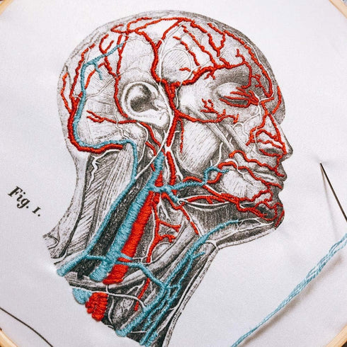 Mr. Sci Science Factory DIY Blood Vessel Embroidery Kit, Including Embroidery Cloth with 2 Pattern on Fabric, Embroidery Hoop, Color Threads and T...