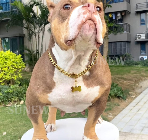 Walking Collar with Dog Tag Design Secure Buckle Cuban Link Chain Collar Heavy Duty Chew Proof for Medium Large Dogs...